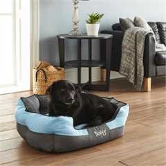 Bunty Anchor Bed - Blue